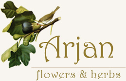 Arjan Flowers and Herbs